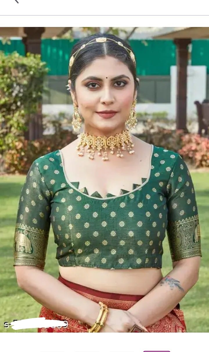 Banarshi Dola Silk Saree Cholo 4