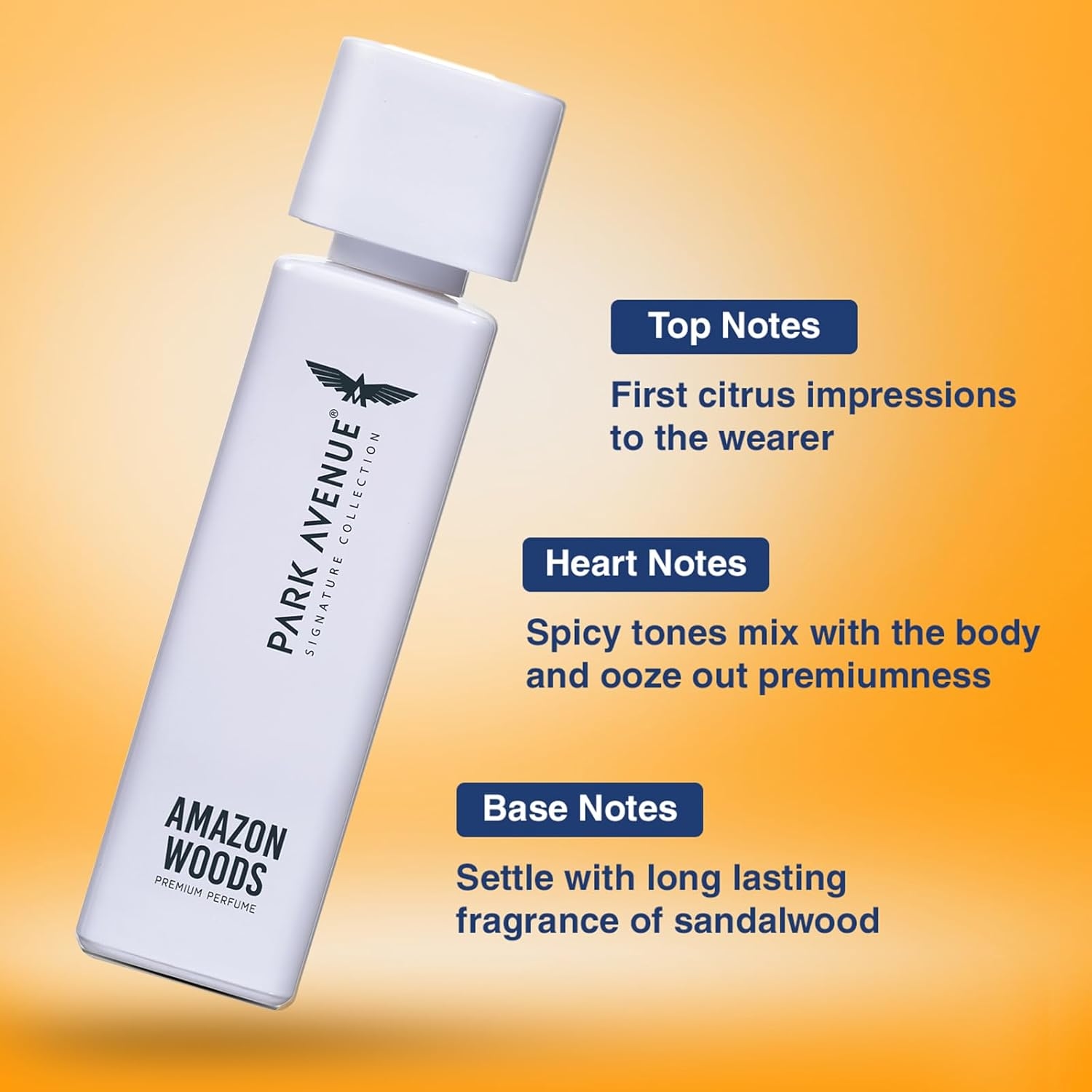 Park Avenuue Voyage Amazon Woods Perfume Spray (120ml) 2