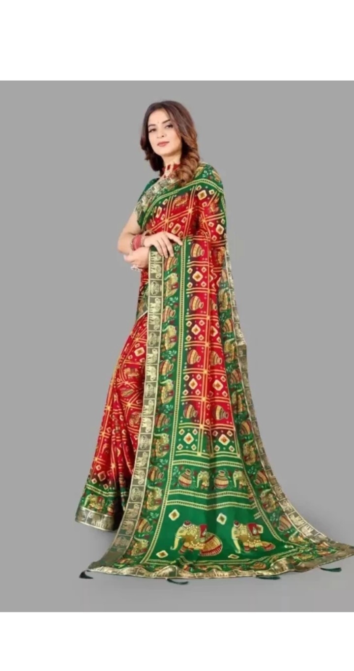 Staylist Silk Saree Blouse 1
