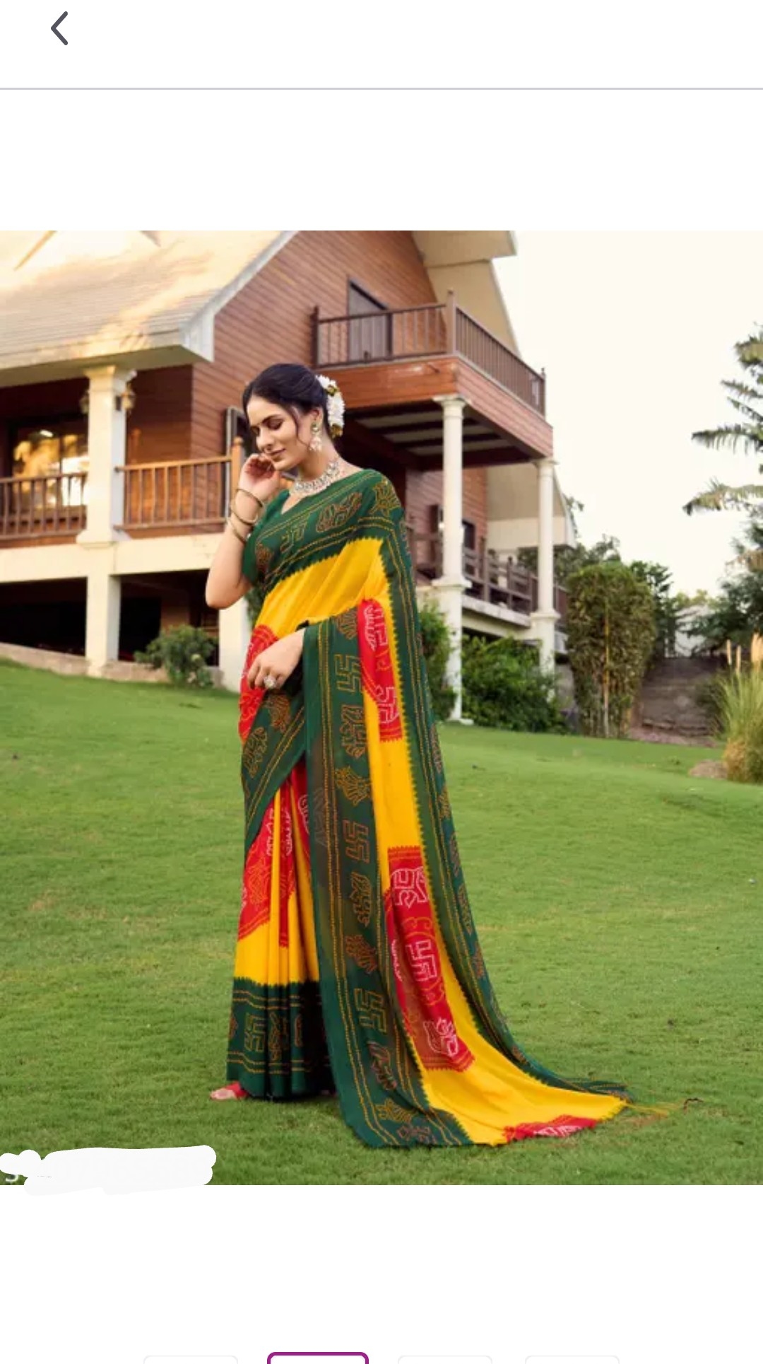 Chiffon Saree 1
