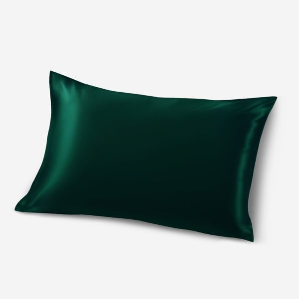  Silk KoreanMoss Silk Pillow Covers1 Pillow Cover 6