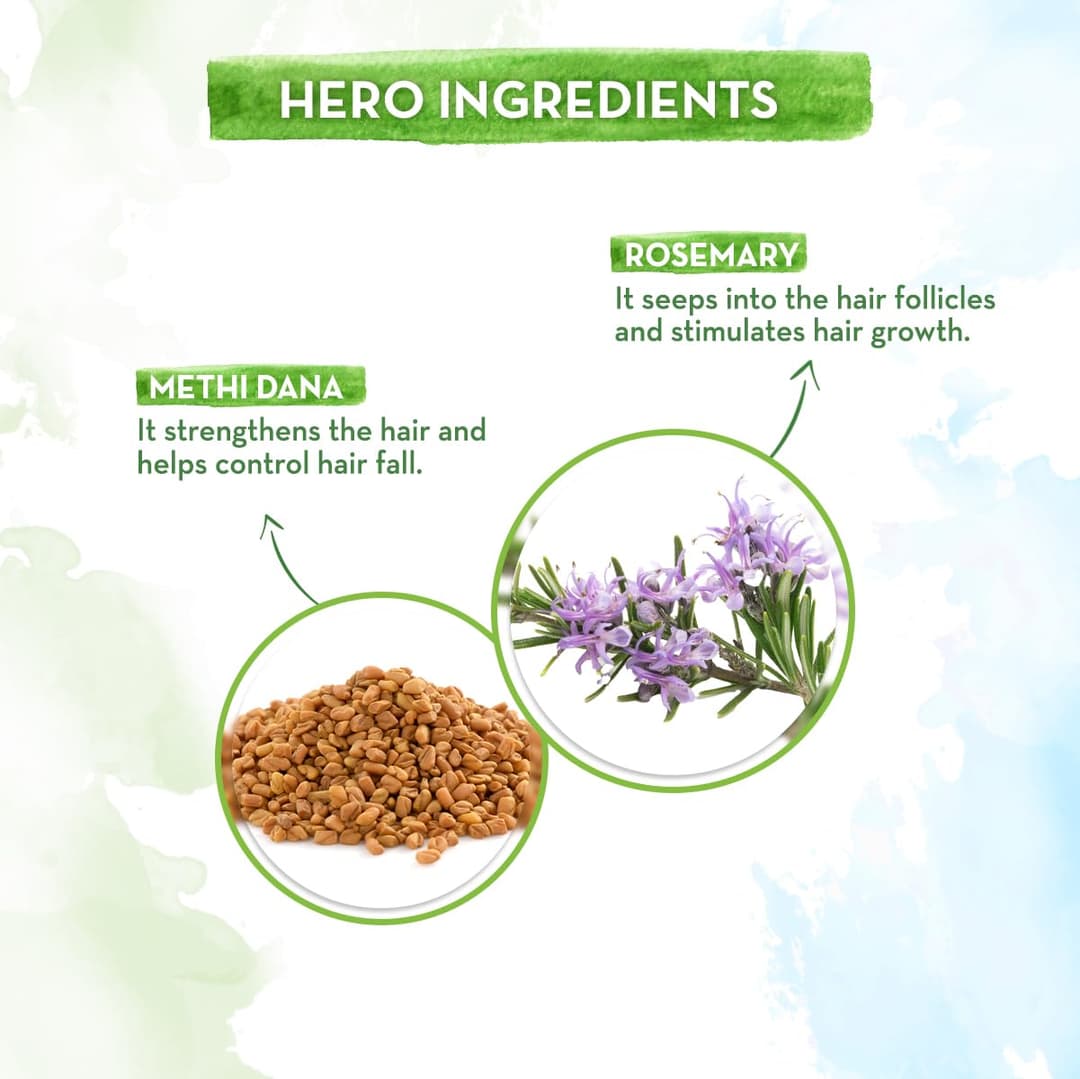 MammaEarth Rosemary Anti-Hair Fall Shampoo with Rosemary & Methi Dana 4