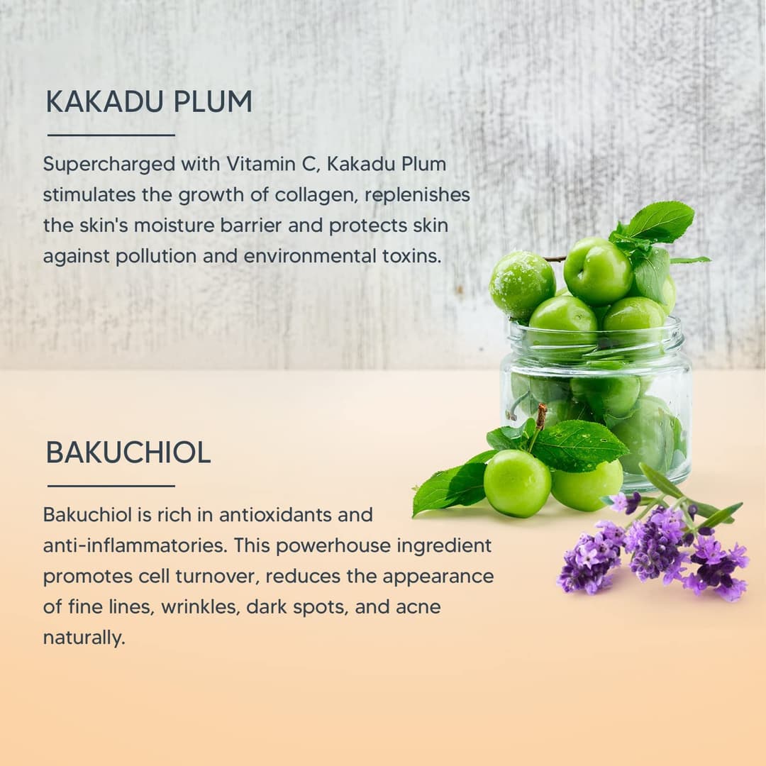 L0TUS Professional Retemin Plant Retinol + Vitamin C Boost Night Creme 2