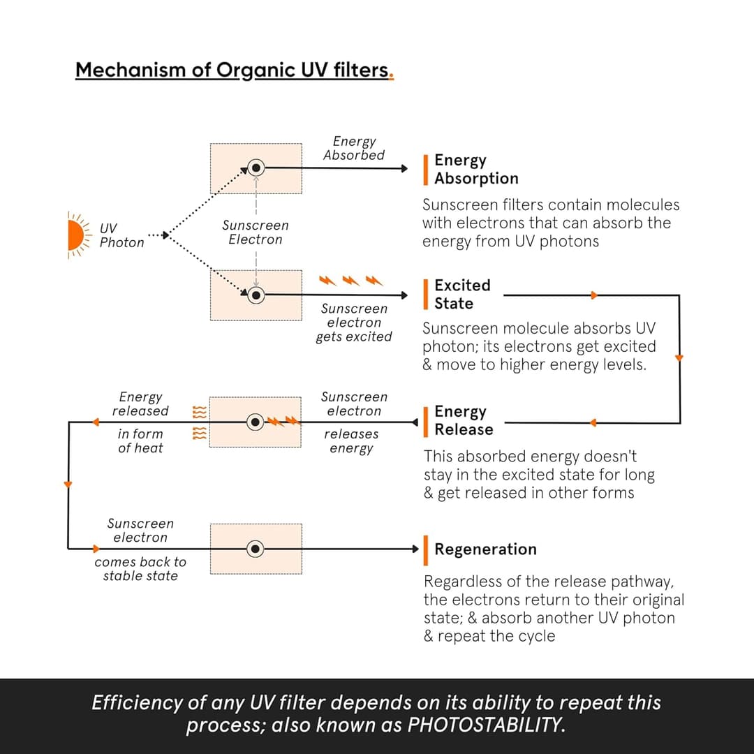 Light Fluid Sunscreen 6