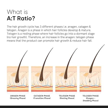 Minimalist Hair Growth Serum With 3% Redensyl, 3% Anagain, 3% Procapil, 5% Capixyl & 4% Baicapil 18% Hair Growth Actives | For Hair Fall Control | For Men & Women | 30 ml 3