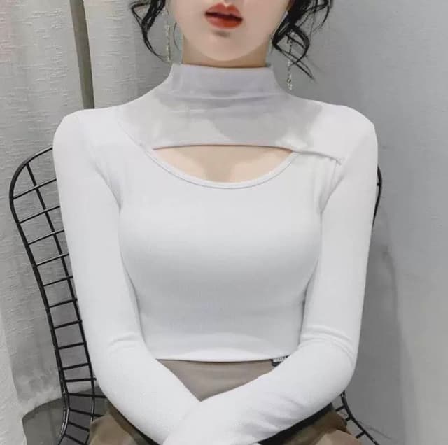 New Summer Special Plai Full Sleeve T neck Croup T shirt For Women