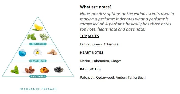 Wild Stone Edge Eau De Perfume For Men 100ml 3