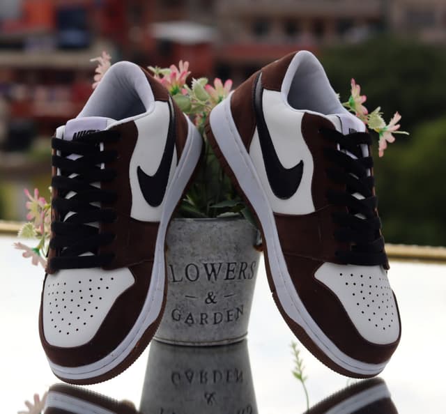 SB Dunk Low Pro Premium Sneakers For Women