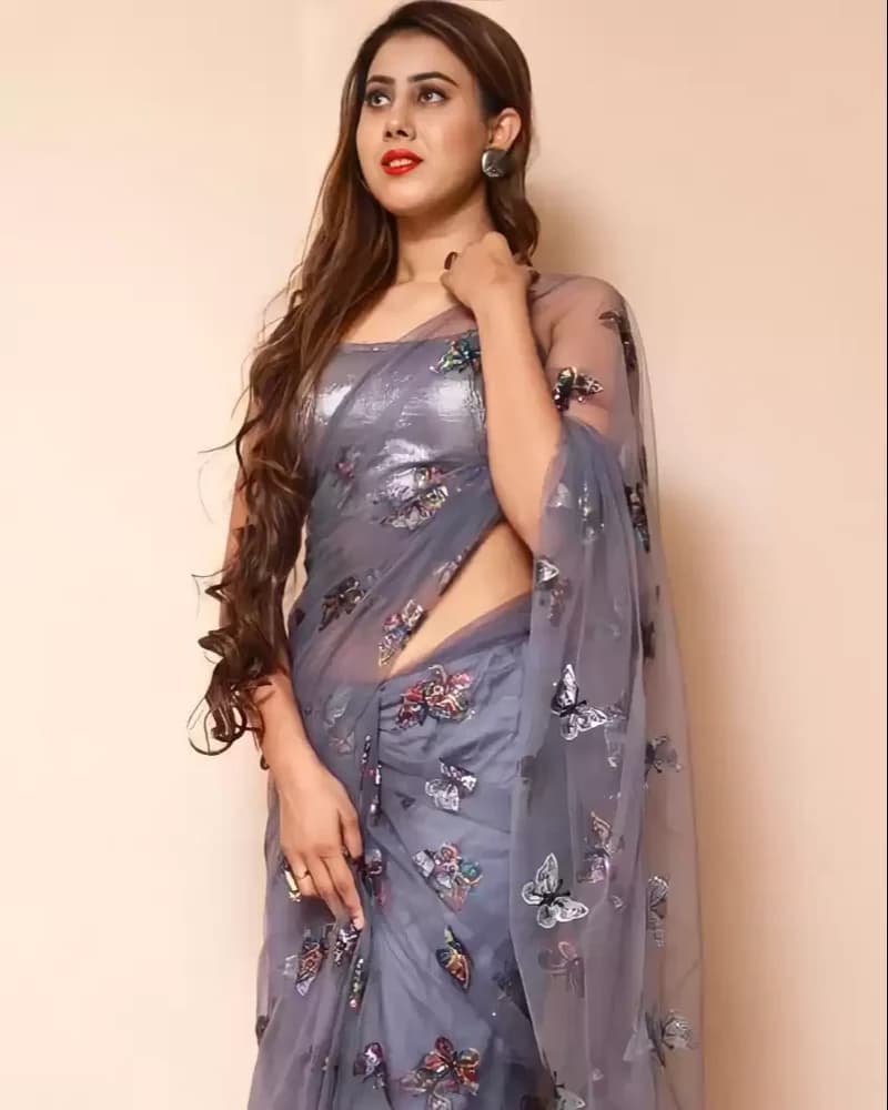Awafu Applique Net Saree With Blouse (Grey ) 2