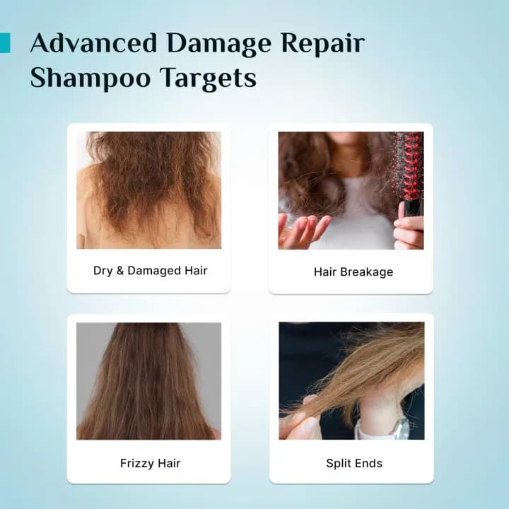 Pilgrim Korean Rice Water & Collagen Advanced Damage Repair Shampoo - 400ml 1