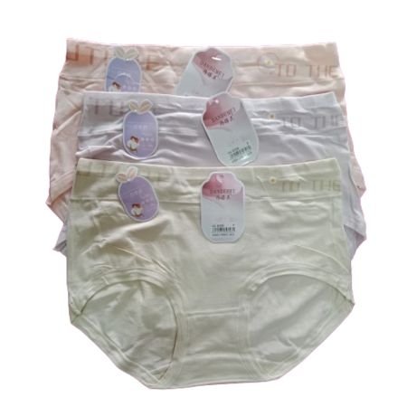 1406 Women's High Coverage Super Combed Cotton medium Waist Panties with Concealed Waistband and StayFresh Treatment (Pack of 3 Colors & Prints Nude) 1