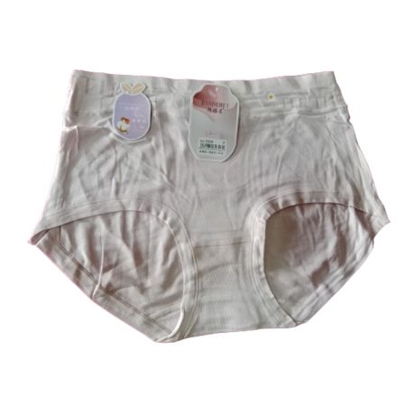 1406 Women's High Coverage Super Combed Cotton medium Waist Panties with Concealed Waistband and StayFresh Treatment (Pack of 3 Colors & Prints Nude) 2