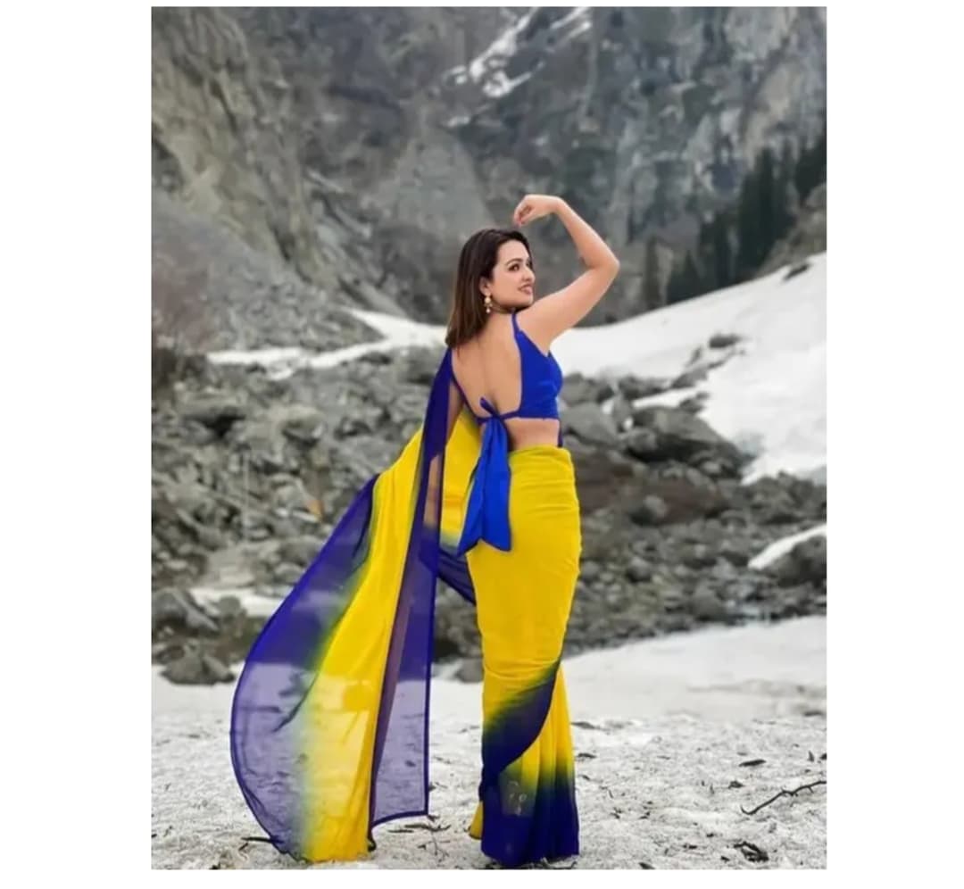 dual Color Saree With blouse 3