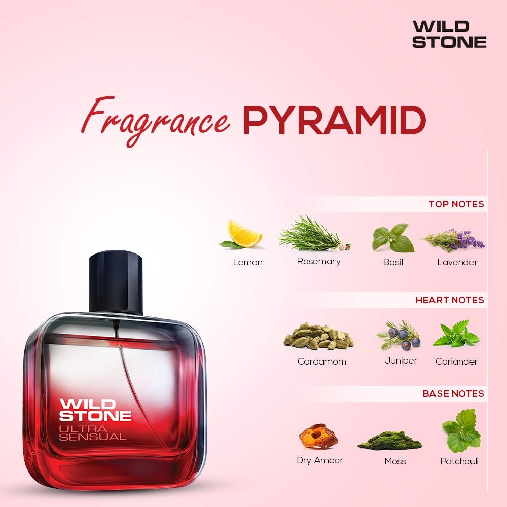 Wild Stone Forest Spice Eau De Parfum For Men 3