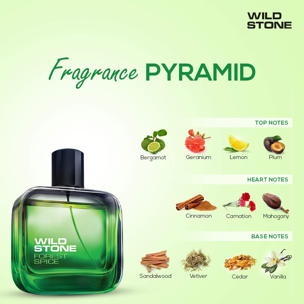 Wild Stone Forest Spice Eau De Parfum For Men 7