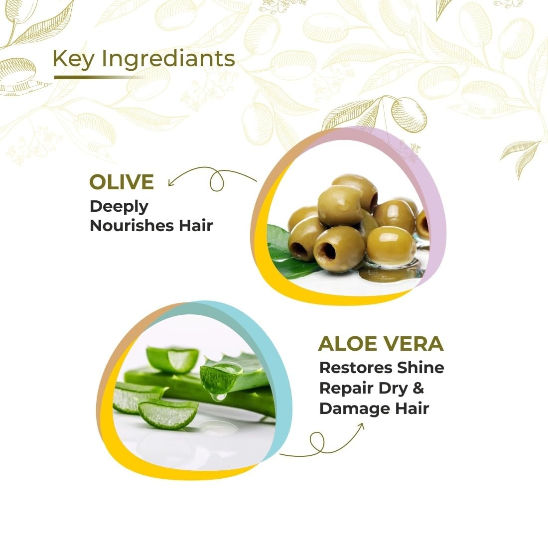 Prisa Organics Olive & Aloevera Shampoo with Conditioner (300ml) 3