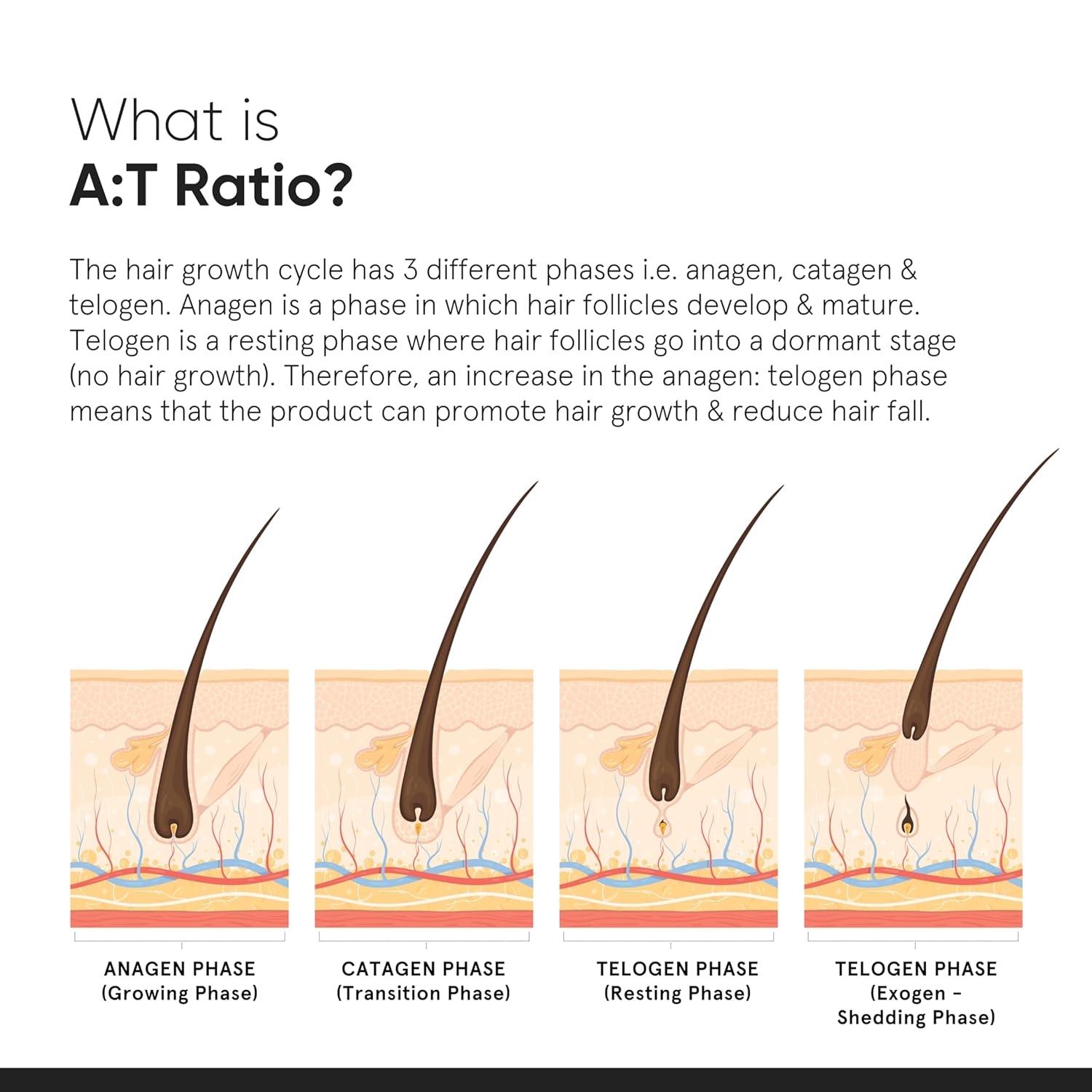 Minimalist Hair Growth serum 3