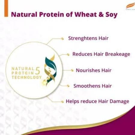 HIMALAYA Anti-Hair Fall Bhringaraja Shampoo (340 ml) 3