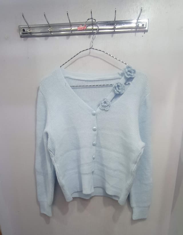 Stylist sweater for women