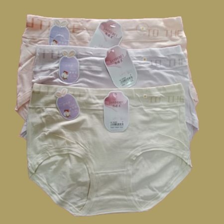 1406 Women's High Coverage Super Combed Cotton medium Waist Panties with Concealed Waistband and StayFresh Treatment (Pack of 3 Colors & Prints Nude) 4