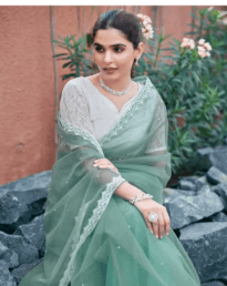 Awafu Embellished Bollywood Net Saree (Blue) 3