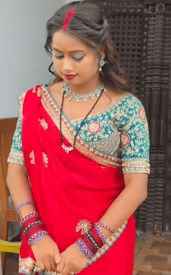 Women's Elegant Embroidered Border Ethnic Saree with Unstitched Blouse