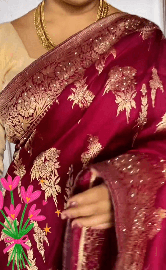 Dola Silk Pure Zari Saree With Exclusive Zari Weaving All Over Nepal 1