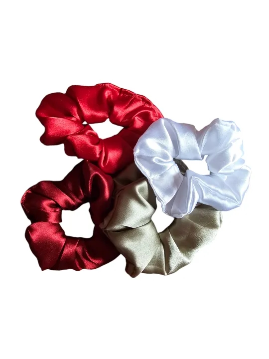 Set Of 4 Different Shades Of Silk Scrunchie 1