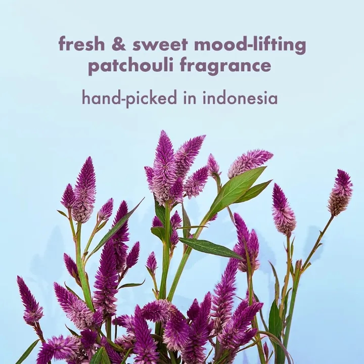 Love Beauty & Planet Onion, BlackSeed & Patchouli Hairfall Control Sulfate Free Shampoo - 400ml 4