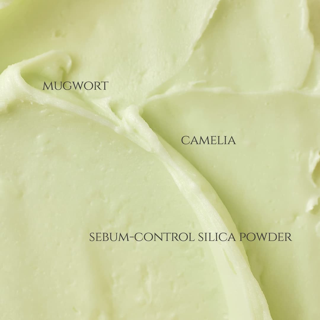 Beauty of Joseon Matte Sunscreen Stick 50 SPF : Mugwort+Camelia (18g, 0.63fl.oz) | Korean Skincare 4