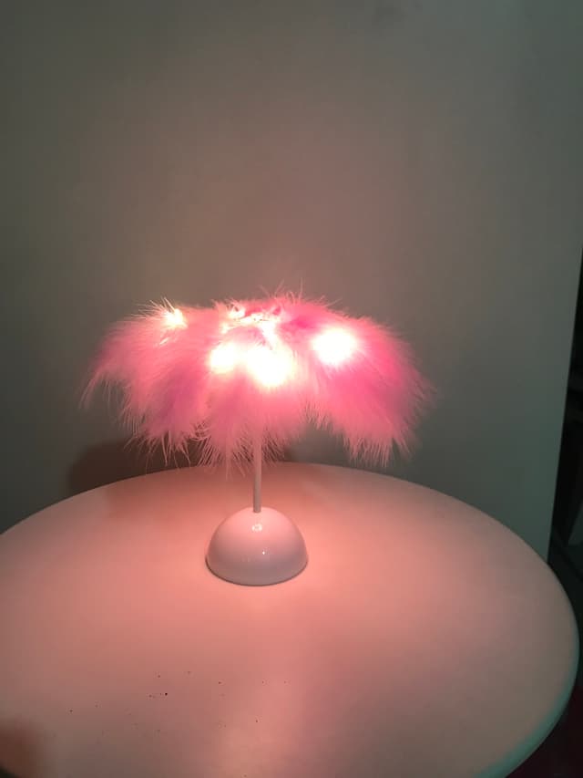 Atmosphere Decorative LED Feather Night Lamp