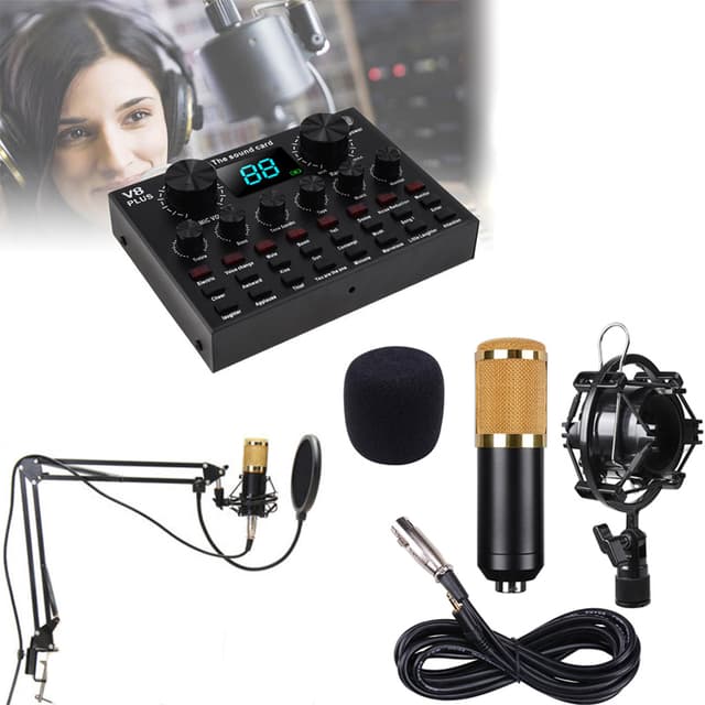 Bm800 Professional Condenser Microphone with V8 Plus Sound Card
