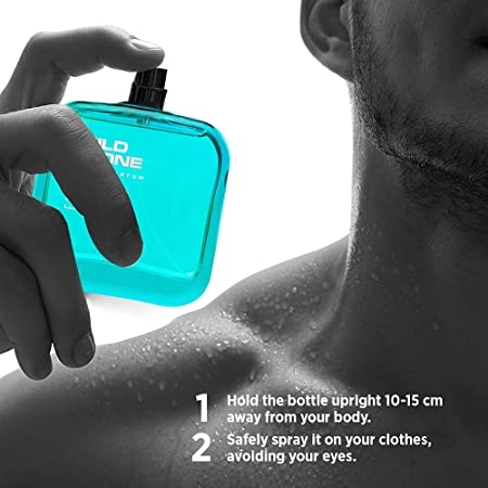 Wild Stone Edge Eau De Perfume For Men 100ml 3