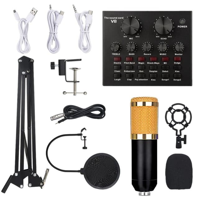 Bm800 Professional Studio Condenser Microphone with V8 Sound Card with Display
