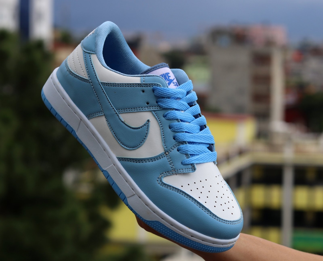 Air Force 1 SB Dunk Premium Luxurious Sneakers For Women 1