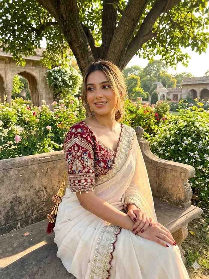 Shivshakti Collection Embroidery Worked Saree Collection 1
